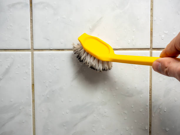 Best Mold Damage Repair  in Lockwood, MT