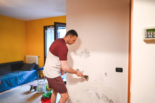 Mold Removal Process in Lockwood, MT